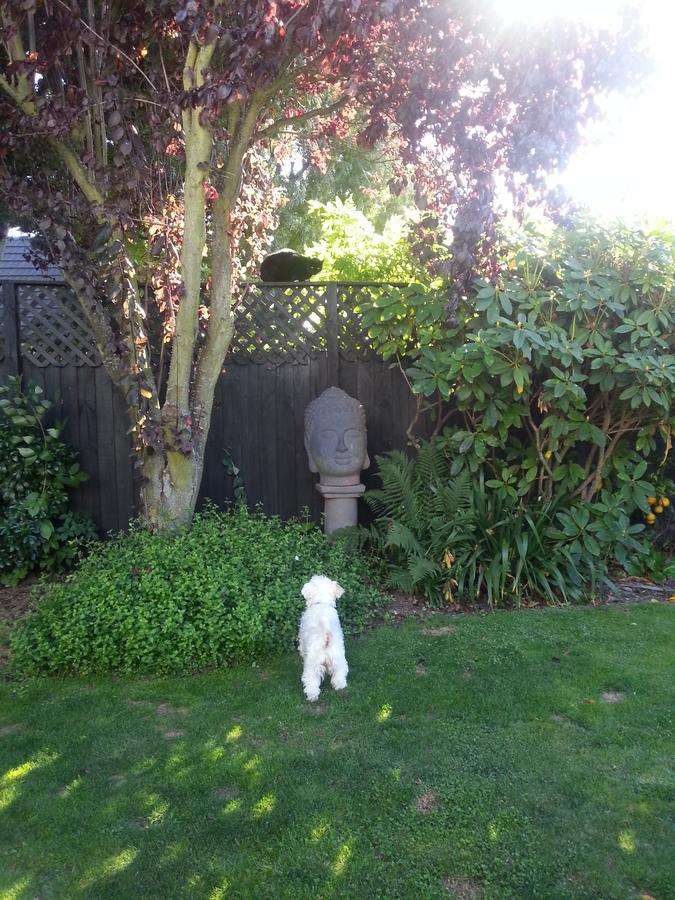 Berni'S Boutique Bnb Christchurch Eksteriør billede