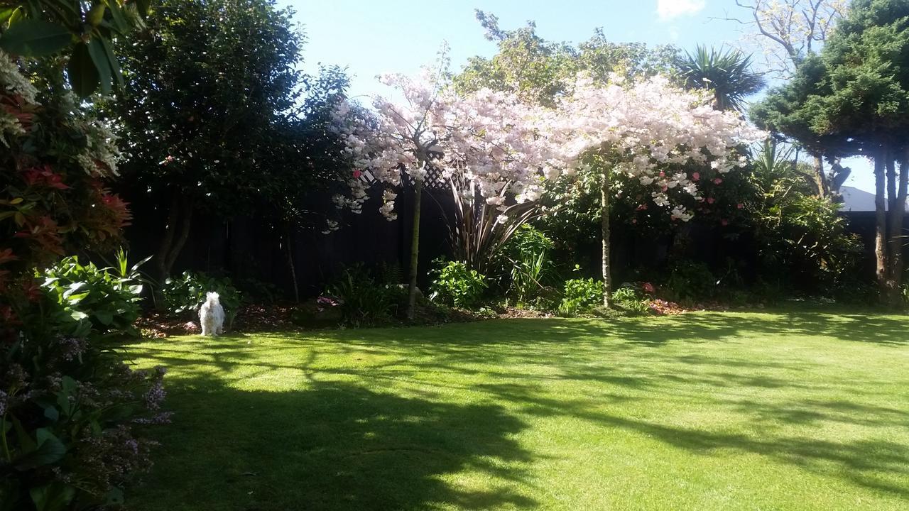 Berni'S Boutique Bnb Christchurch Eksteriør billede